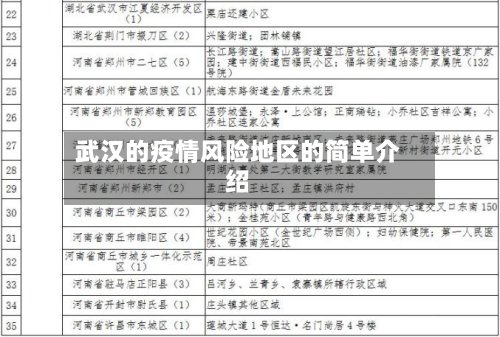 武汉的疫情风险地区的简单介绍