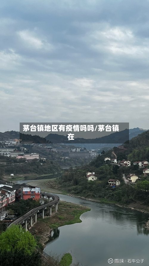 茅台镇地区有疫情吗吗/茅台镇在