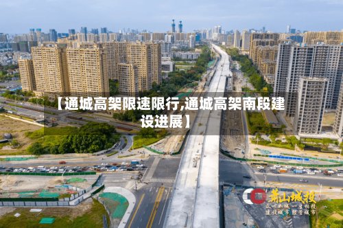 【通城高架限速限行,通城高架南段建设进展】