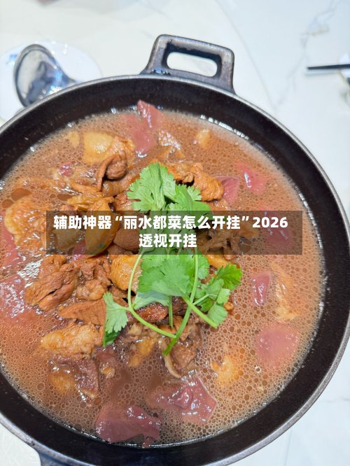 辅助神器“丽水都菜怎么开挂	”2026透视开挂-第2张图片