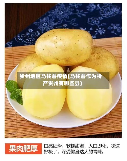 贵州地区马铃薯疫情(马铃薯作为特产贵州有哪些县)-第3张图片