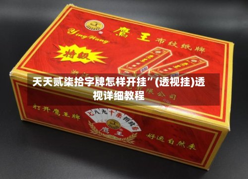 天天贰柒拾字牌怎样开挂	”(透视挂)透视详细教程-第2张图片