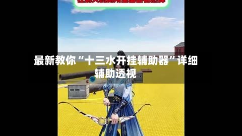 最新教你“十三水开挂辅助器”详细辅助透视-第2张图片