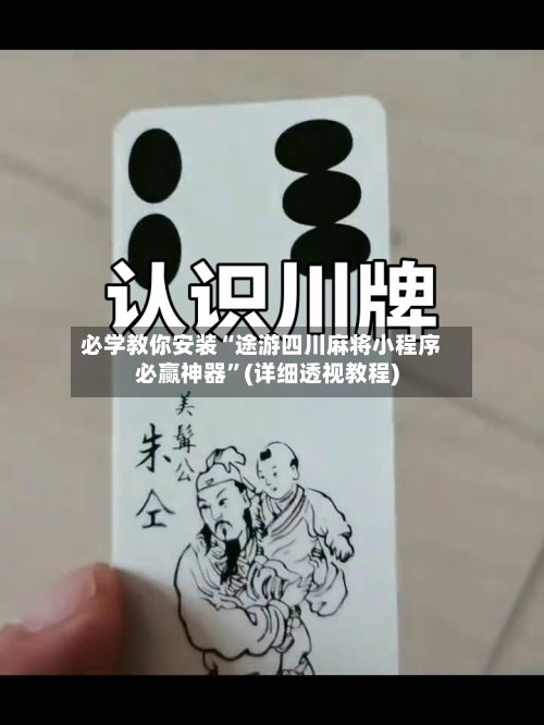 必学教你安装“途游四川麻将小程序必赢神器”(详细透视教程)-第2张图片