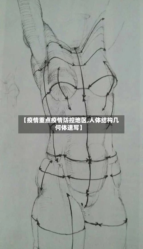 【疫情重点疫情防控地区,人体结构几何体速写】