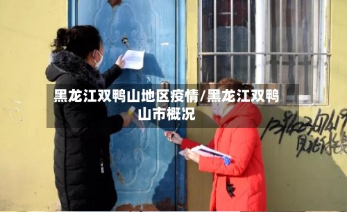 黑龙江双鸭山地区疫情/黑龙江双鸭山市概况-第2张图片