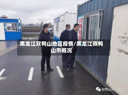 黑龙江双鸭山地区疫情/黑龙江双鸭山市概况-第3张图片