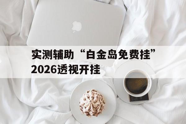实测辅助“白金岛免费挂”2026透视开挂